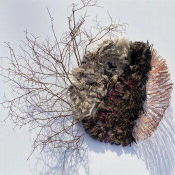 Claire Lima, wild blueberry branches, wool, wire, yarn, twigs, leaves