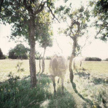 Eugene Ellenberg pinhole photography